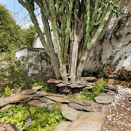 Jardin Del Sol
